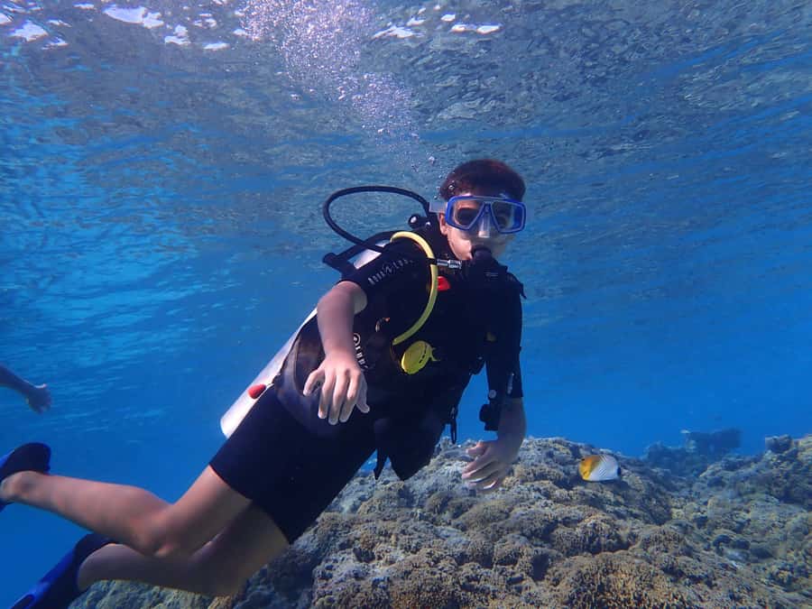 Bora Bora: Introductory Dive - The lagoon coral garden and 30 minutes below the surface