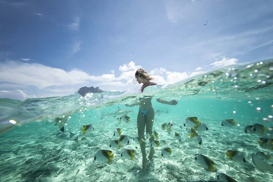 Bora Bora: Jet Ski, Lunch & Shark/ Ray Safari - Why this combination works on Bora Bora