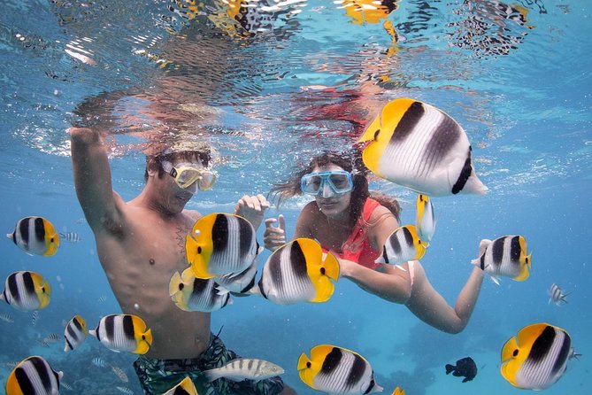 Bora Bora Jet Ski Tour, & Eco Shark / Ray Snorkel Cruise - Starting with the jet ski ride around Bora Bora