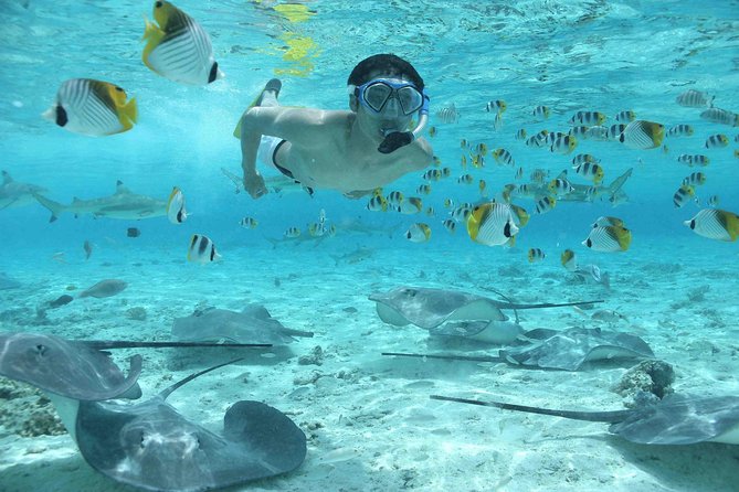 Bora Bora Jet Ski Tour, & Eco Shark / Ray Snorkel Cruise - Lunch at Lucky House, also called Fare Manuia