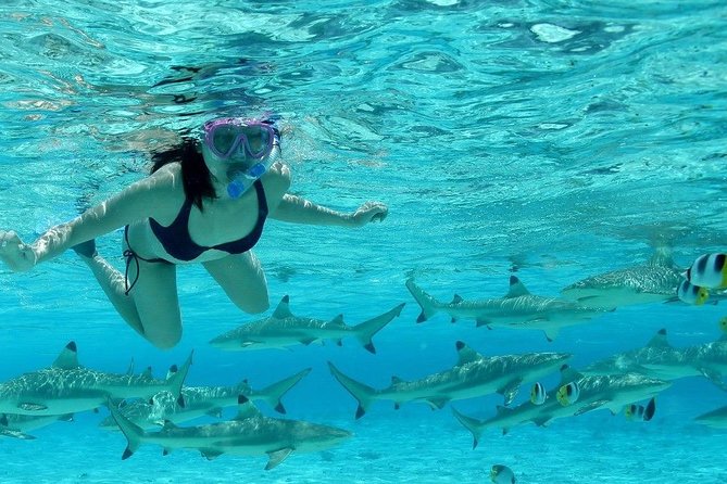Bora Bora Jet Ski Tour, & Eco Shark / Ray Snorkel Cruise - What the guides add to the day