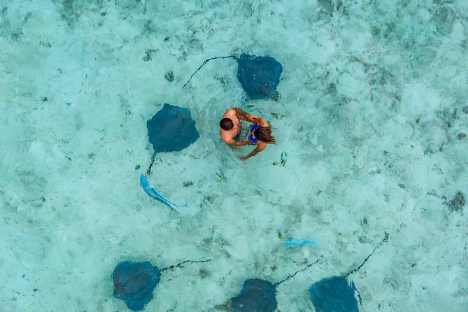 Bora Bora Jet Ski Tour, & Eco Shark / Ray Snorkel Cruise - A motu stop, coconut lesson, and swim
