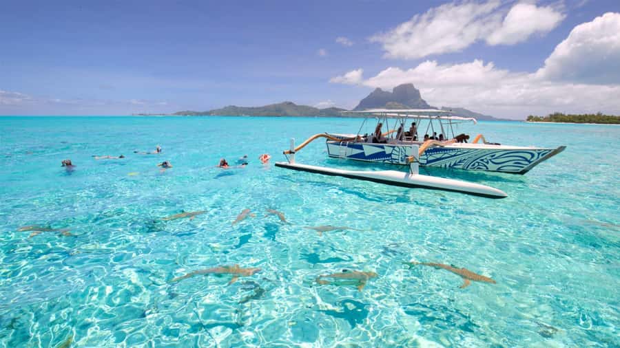 Bora Bora: Lagoon Tour and Snorkeling Experience - Three lagoon stops, each with a different purpose