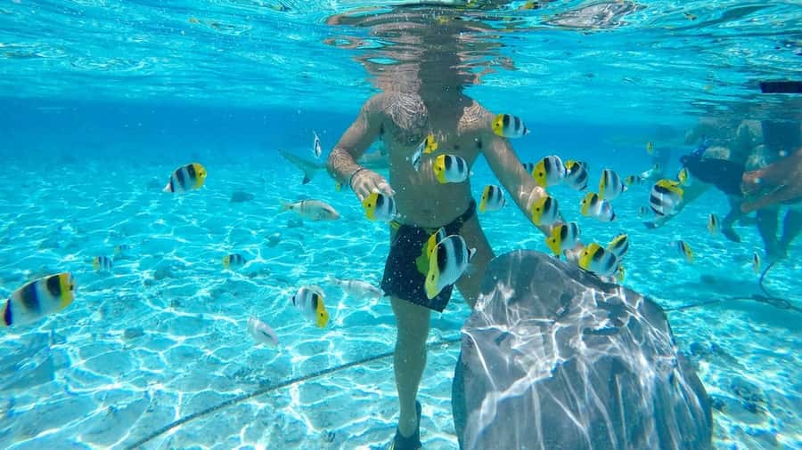 Bora Bora: Lagoon Tour and Snorkeling Experience - What the guides add to the day