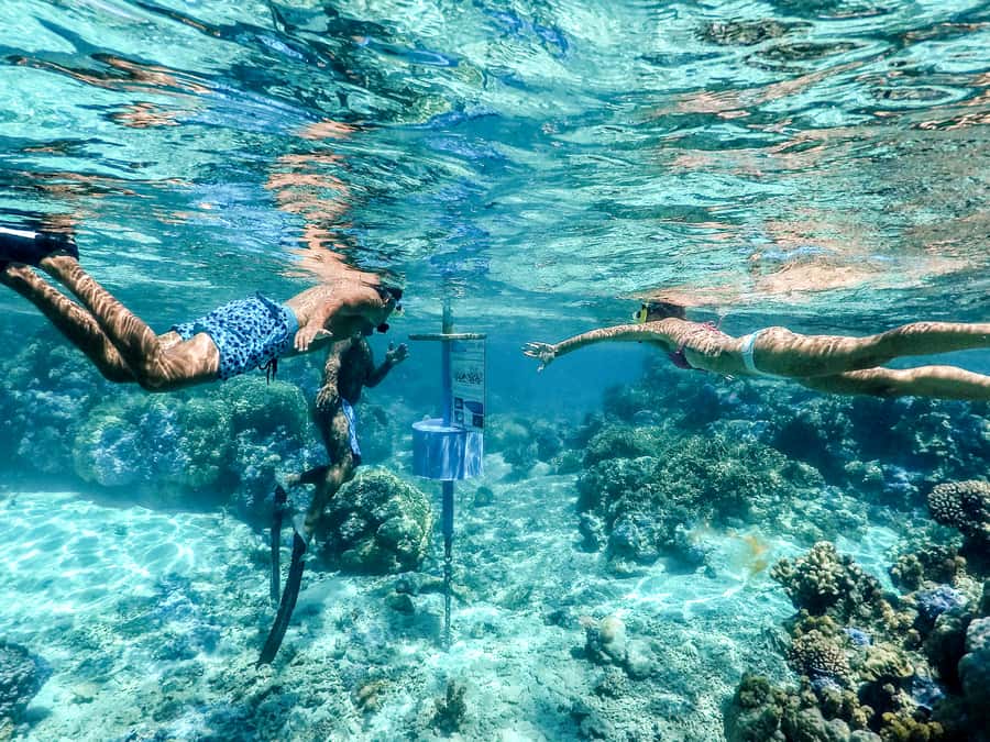 Bora Bora: Lagoon Tour and Snorkeling Experience - Equipment, comfort, and practical limits