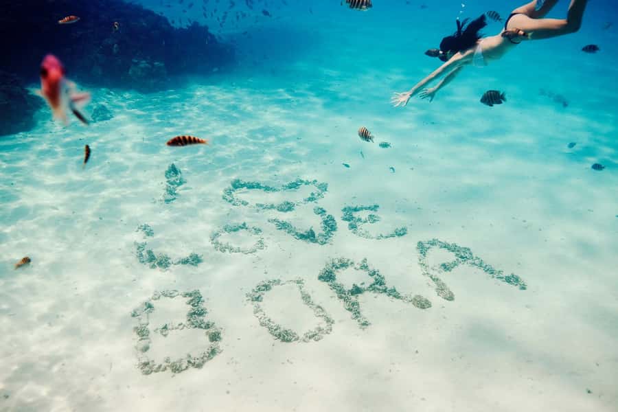 Bora Bora: Lagoon Tour and Snorkeling Experience - First stop: friendly stingrays in warm, shallow water