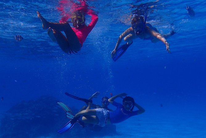 Bora Bora: Luxury Private Half Day Snorkeling Tour - Guide quality can shape the day