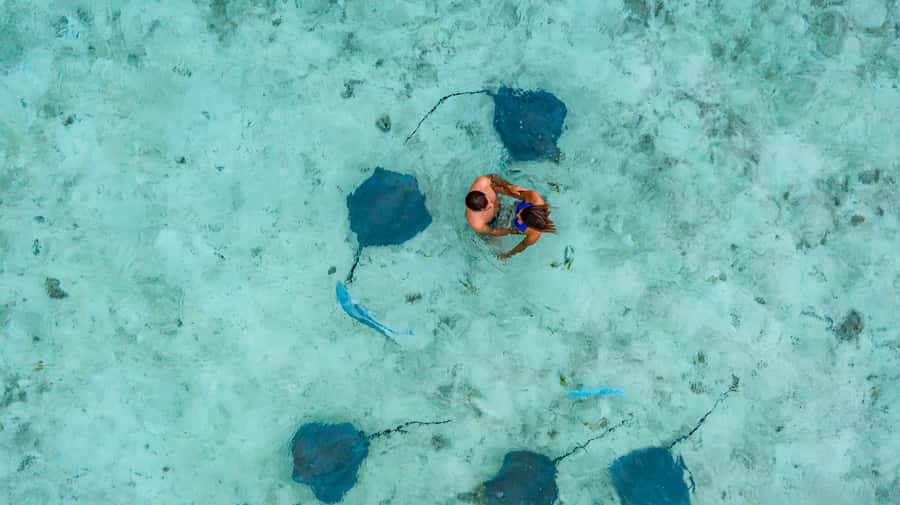 Bora Bora Luxury Tour and Beach Picnic - Is $280 per person a fair price?