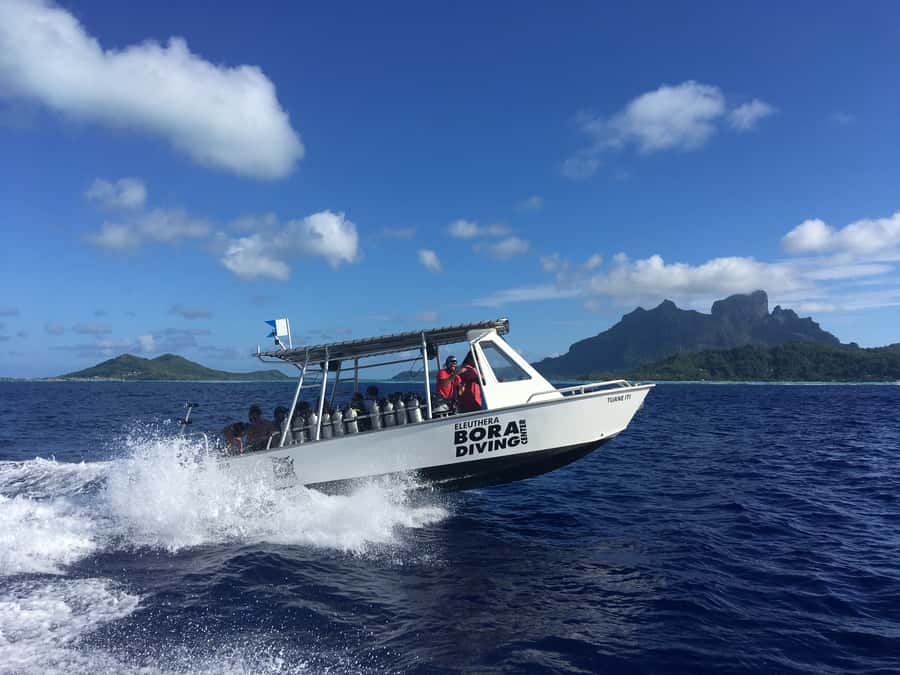 Bora Bora: Morning 2 tank dive for certified divers - What has been praised about the service