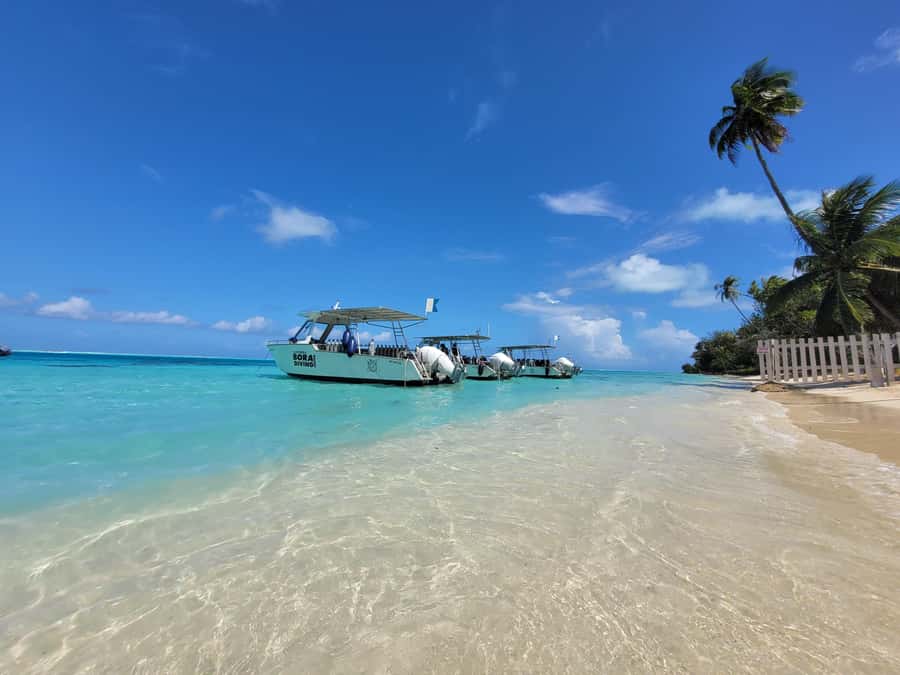 Bora Bora: Morning 2 tank dive for certified divers - The lagoon session and its ray sightings