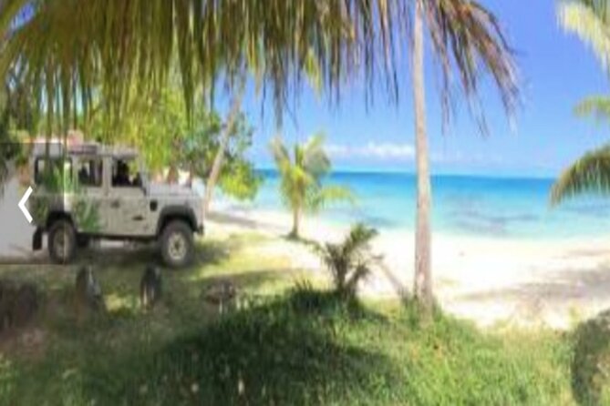 Bora Bora Off-Road Sightseeing Tour - Why the three-hour timing works for a cruise stop