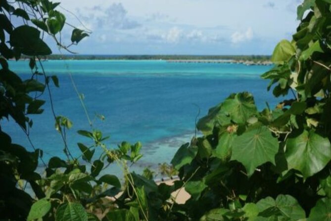 Bora Bora Off-Road Sightseeing Tour - Who should book this island tour?