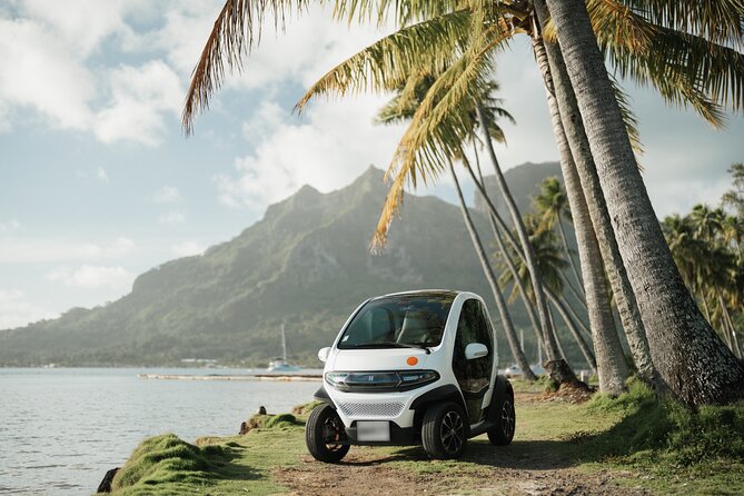 Bora Bora Private Departure Hotels to Airport Transfer - From hotel dock to airport boarding area