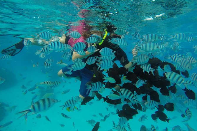 Bora Bora Private Lagoon Tours - A private way to see Bora Bora from the water