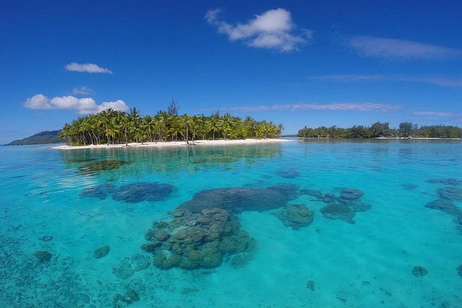 Bora Bora Private Lagoon Tours - What the three-and-a-half-hour itinerary feels like