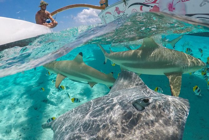 Bora Bora Snorkel Cruise by Polynesian Outrigger Canoe with BBQ Island Lunch - What makes this six-hour lagoon cruise special