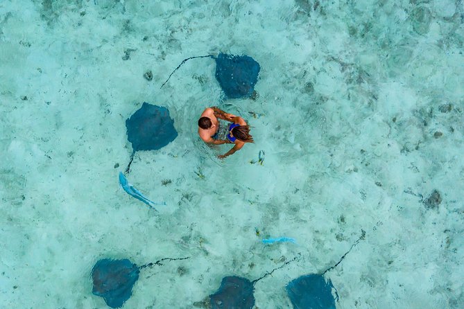 Bora Bora Snorkel Cruise by Polynesian Outrigger Canoe with BBQ Island Lunch - Starting with Bora Bora’s famous lagoon life