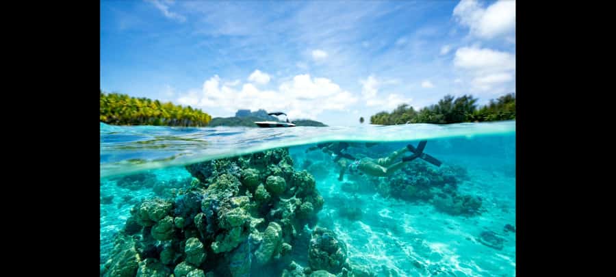 Bora Bora: Snorkeling and Fishing Tour with Lunch Option - What the four-hour Bora Bora outing feels like