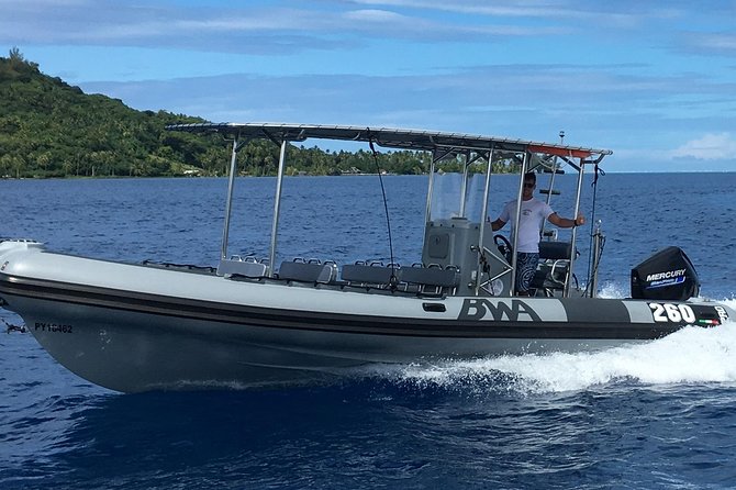 Bora Bora Whale Watching - What the 3-hour-30-minute itinerary feels like