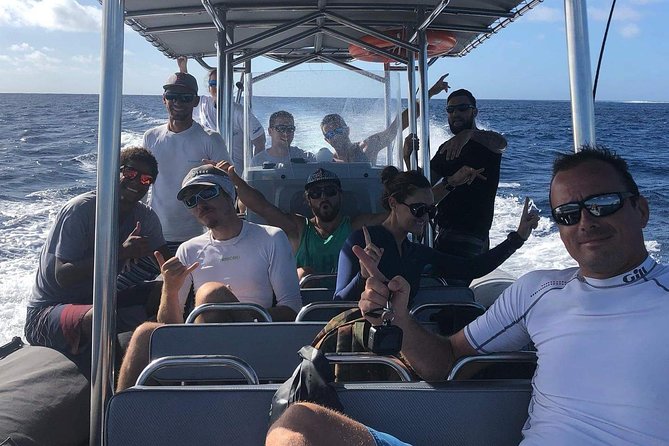 Bora Bora Whale Watching - Rough water is the main practical concern