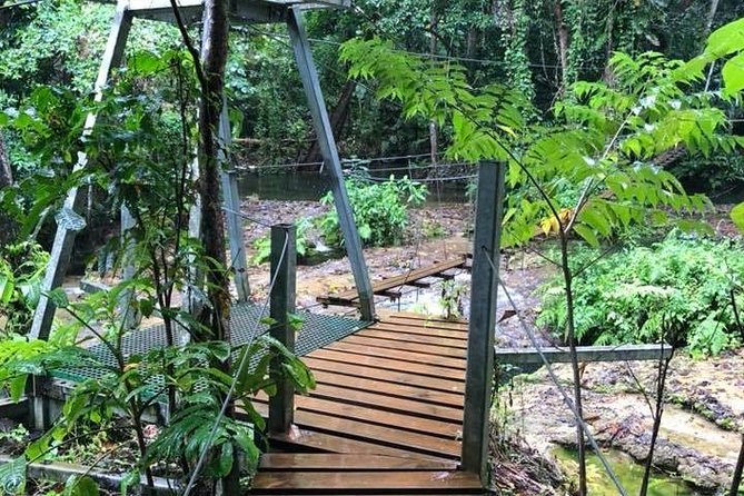 Bridges of Eden with Yumi Tours - Getting there from Port Vila or a cruise ship