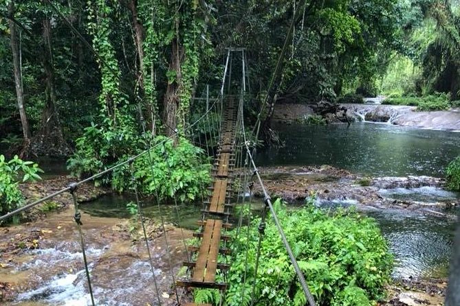 Bridges of Eden with Yumi Tours - The bridge circuit and the mini zip