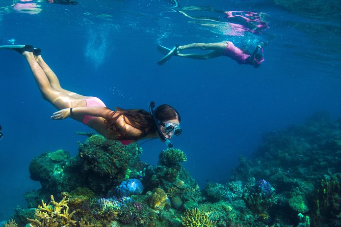Capt Cook Cruises Super Saver Combo: Day Sail + Dinner Cruise - Sailing from Denarau to Tivua Island