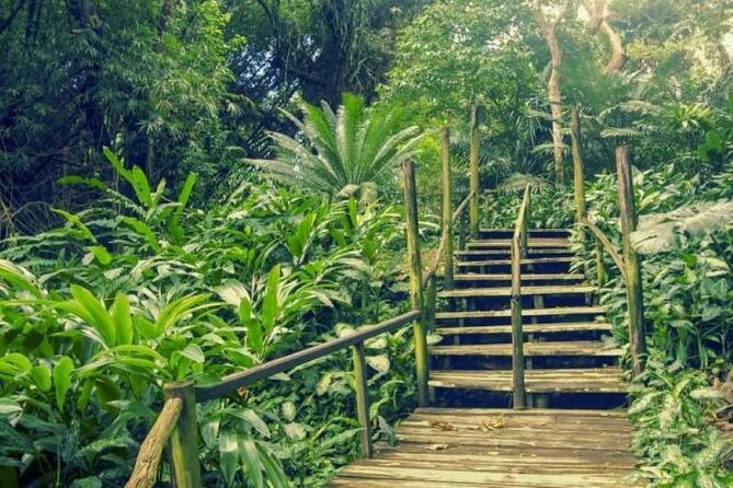 CFC APPROVED Private Departure Transfer - Shangri-La Fijian Rst to Nadi Airport - Is $35.75 per person good value?