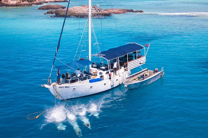 Coconut Cruiser Package | 7Days | 6Nights with All Activities Included - Days 3 and 4: Manta rays and marine life