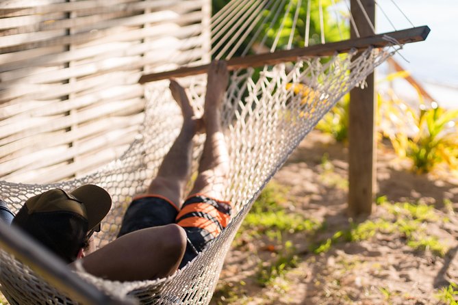 Coconut Cruiser Package | 7Days | 6Nights with All Activities Included - Day 5: Sharks, night snorkeling, or a mountain walk
