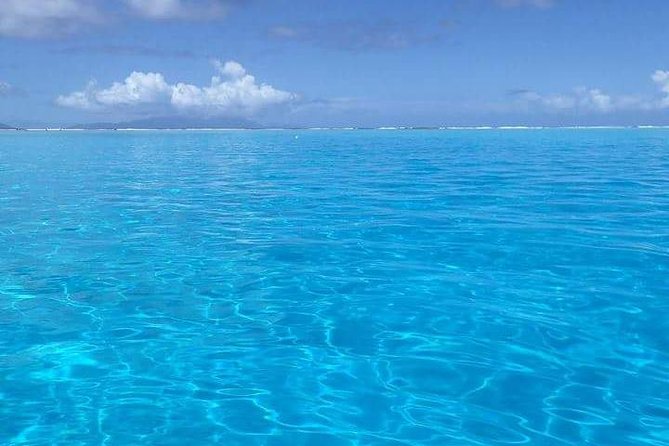 Combo Diving and Snorkeling Half-Day Tour - One scuba session, then two chances to snorkel