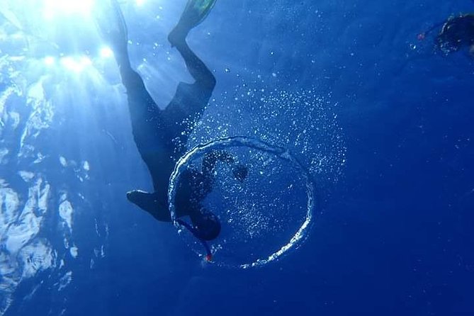 Combo Diving and Snorkeling Half-Day Tour - Booking details that can save you trouble