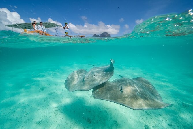 Combo snorkeling + motu lunch + jet ski group tour full day - A private motu lunch that earns its place