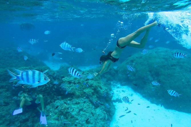 Combo snorkeling + motu lunch + jet ski group tour full day - Why the three snorkeling sites matter