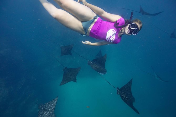Cook Islands Turtle and Ray Tour - Who Will Enjoy This Tour Most