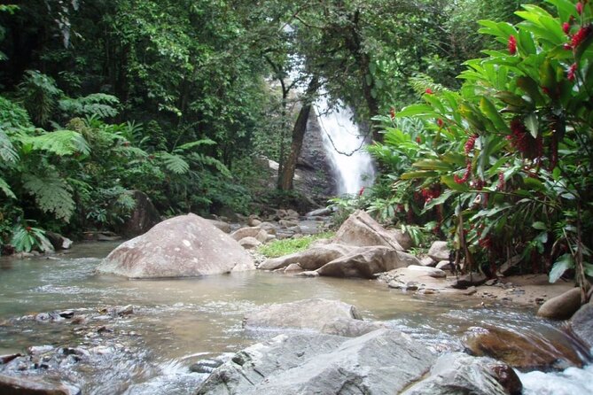 ''Coral Coast Adventure: Biausevu Waterfall & Natadola Beach !'' - Lunch at Baravi Handcrafts & Cafe