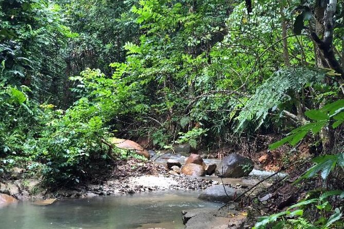 ''Coral Coast Adventure: Biausevu Waterfall & Natadola Beach !'' - Is the $148.16 price good value?