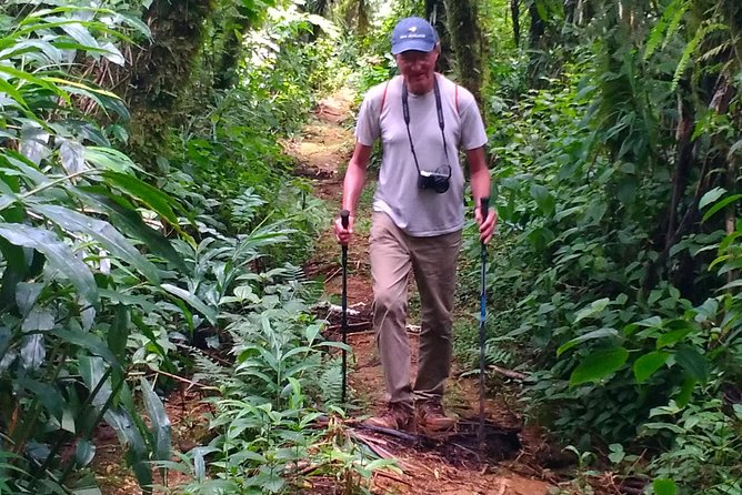 Crater Lake Hike and Swim - The 8:00am pickup from central Apia