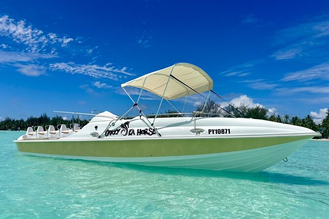 Crazy sea horse Bora Bora Comfortable boat, snorkeling and lunch - Starting at the Bora Bora lagoon