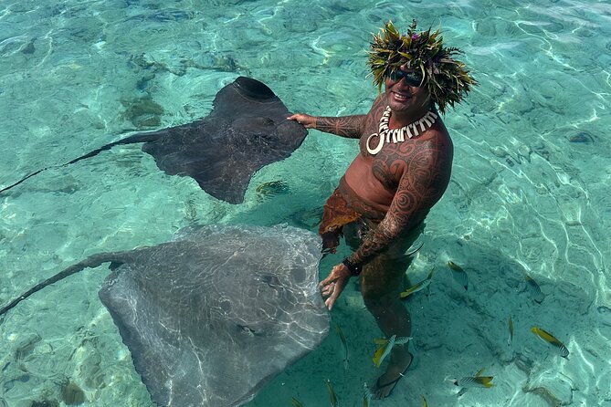 Crazy sea horse Bora Bora Comfortable boat, snorkeling and lunch - Is $200 a fair price?
