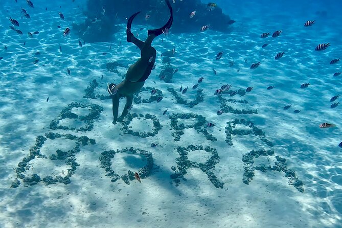 Crazy sea horse Bora Bora Comfortable boat, snorkeling and lunch - Practical details that affect your day