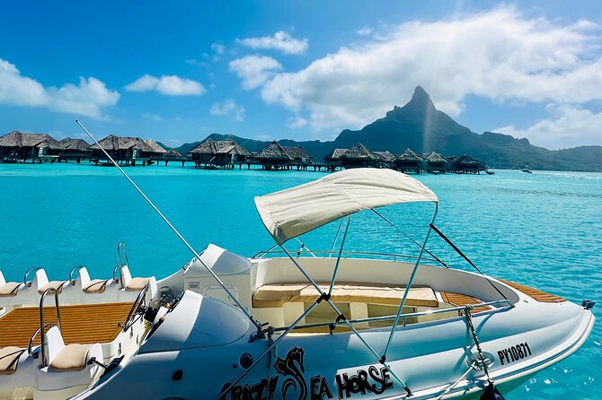 Crazy sea horse Bora Bora Comfortable boat, snorkeling and lunch - A fast boat with room for only 12