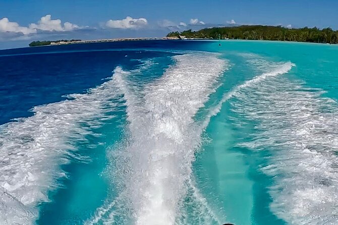 Crazyseahorseborabora Comfortable boat , sensational snorkeling . - Manta rays, coral gardens, and tropical fish