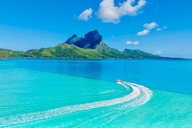 Crazyseahorseborabora Comfortable boat , sensational snorkeling . - Mo and Tu set the tone