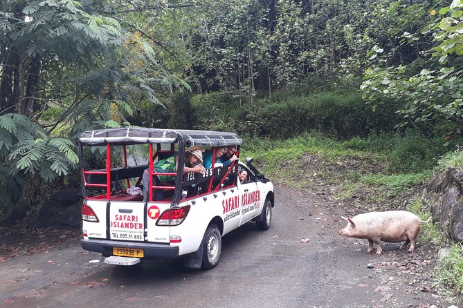 Crossing Island of Tahiti 4x4 Mountain, Waterfall, River, Basins - Is the $138 price fair?