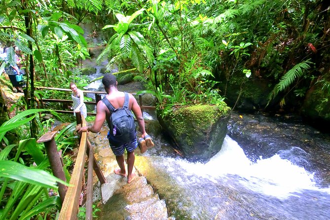 Customized Suva day tour - Key things to know before booking