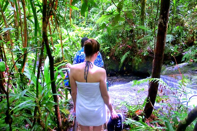 Customized Suva day tour - Private touring versus shared service