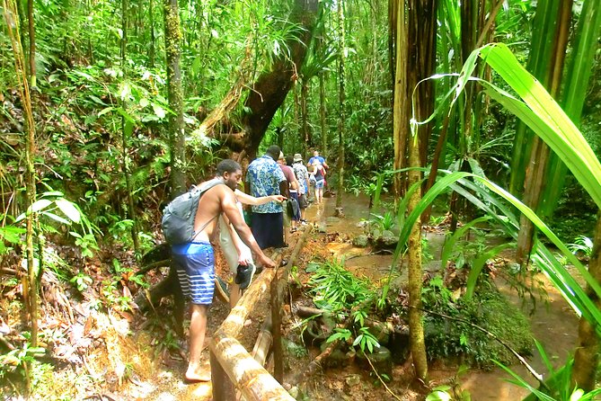Customized Suva day tour - Is three hours enough?