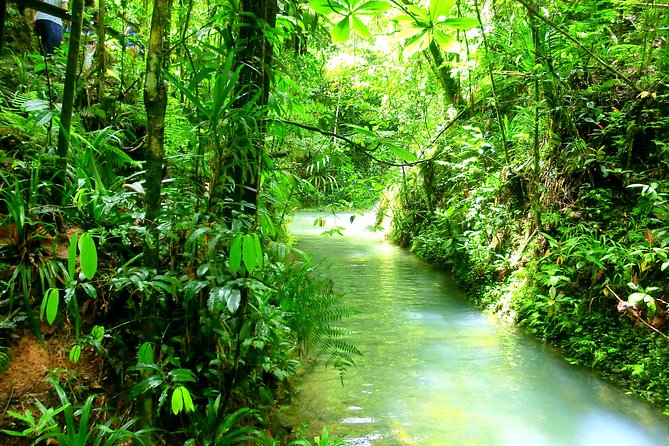 Customized Suva day tour - Price, value, and group size