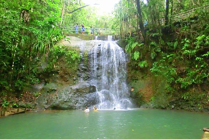 Customized Suva day tour - Colo-i-Suva and the waterfall option
